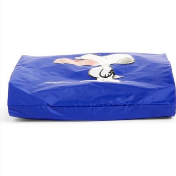 ISO Royal Blue "Nordstrom x Peanuts" Baggu - Picture 6 of 7